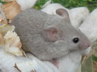 /album/fotogaleria/p1040466-jpg/