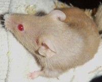 /album/fotogaleria/p1040484-jpg1/