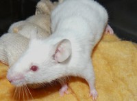 /album/fotogaleria/p1040470-jpg1/