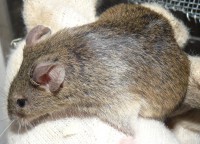 /album/fotogaleria/p1040477-jpg1/